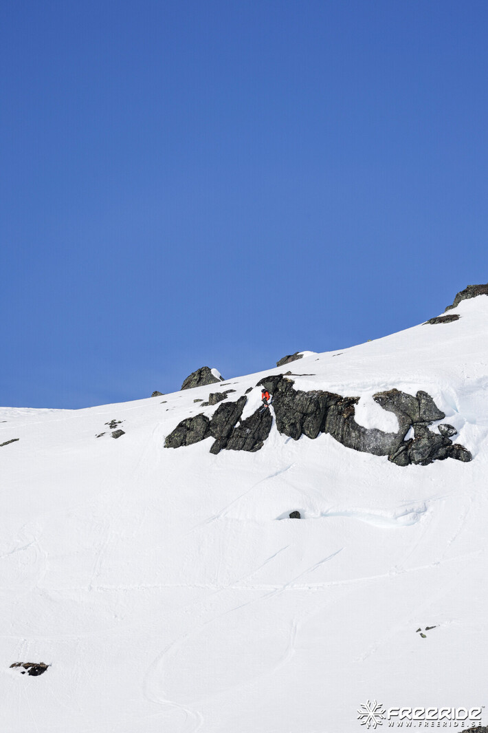 Bild från Ride the Cow 2026