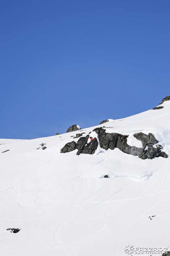 Bild från Ride the Cow 2026