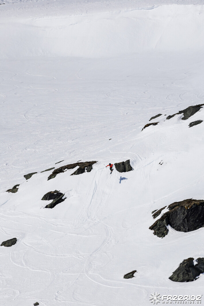 Bild från Ride the Cow 2026