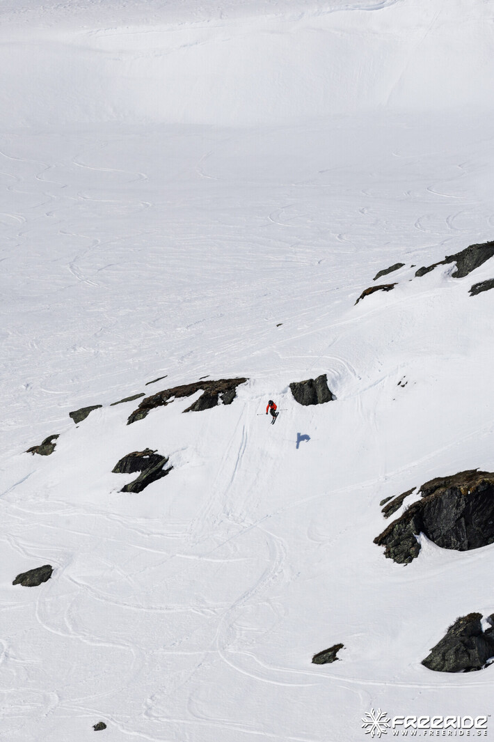 Bild från Ride the Cow 2026