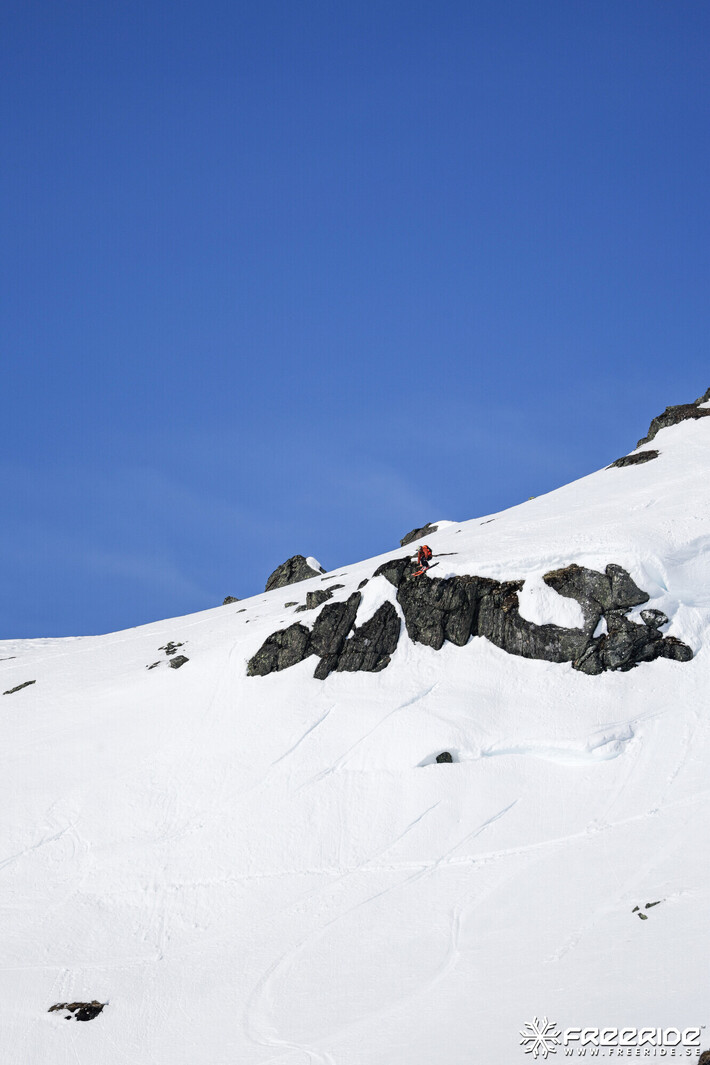 Bild från Ride the Cow 2026