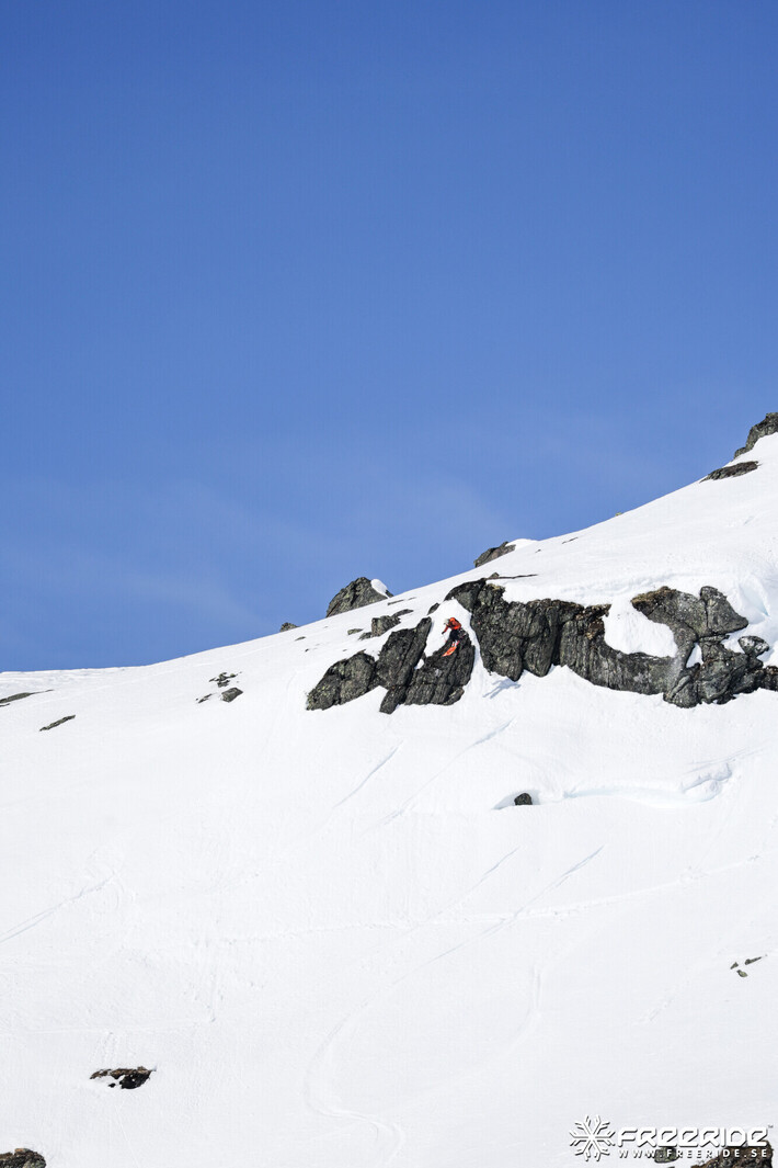 Bild från Ride the Cow 2026