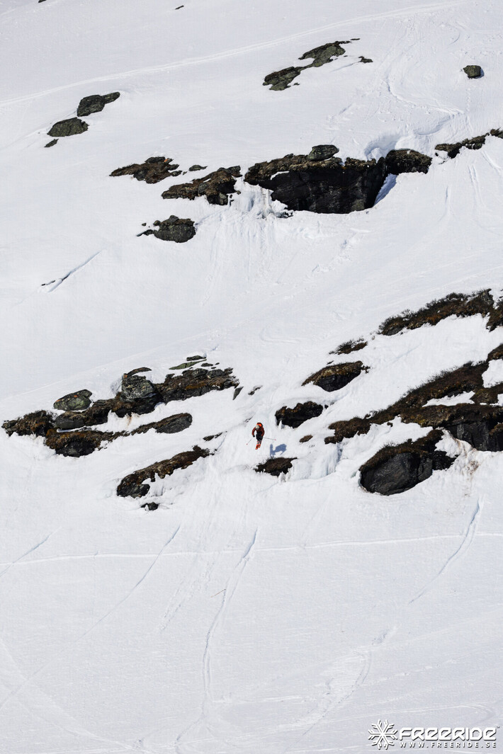 Bild från Ride the Cow 2026