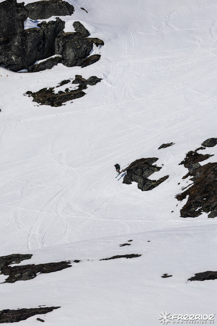 Bild från Ride the Cow 2026