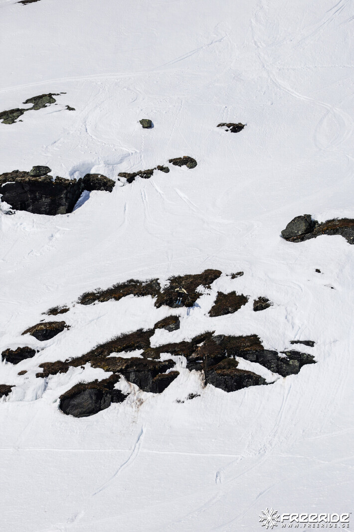 Bild från Ride the Cow 2026