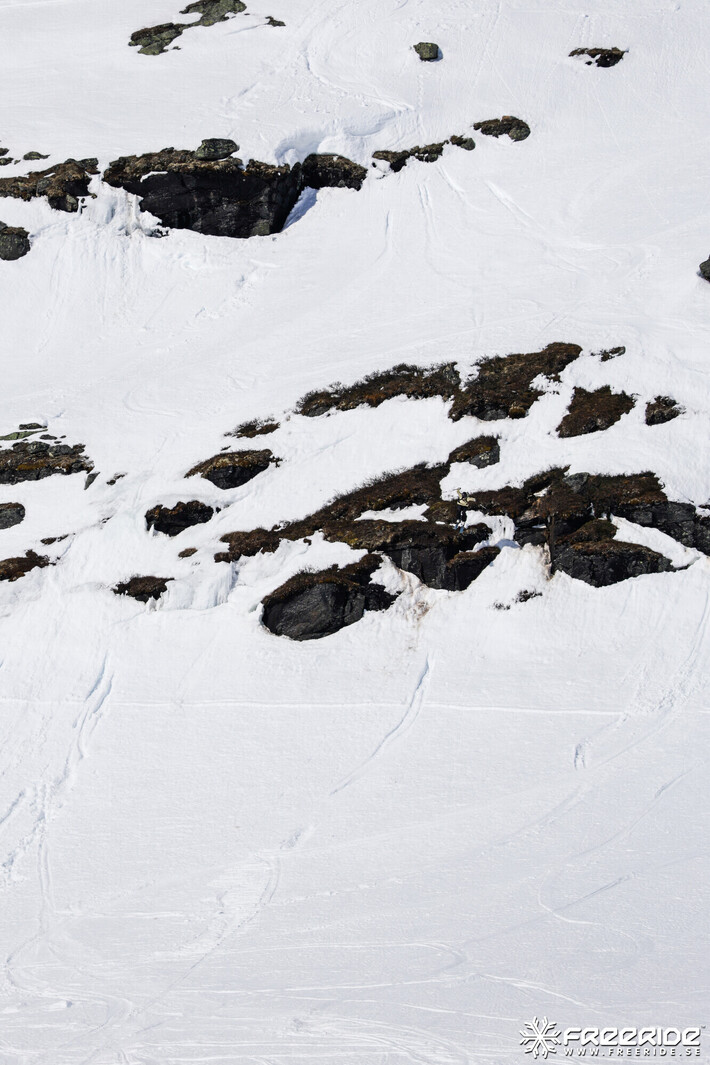 Bild från Ride the Cow 2026