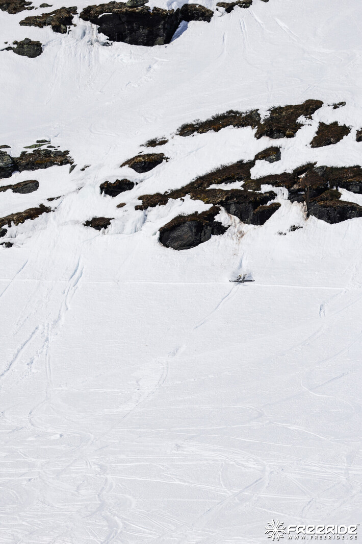 Bild från Ride the Cow 2026