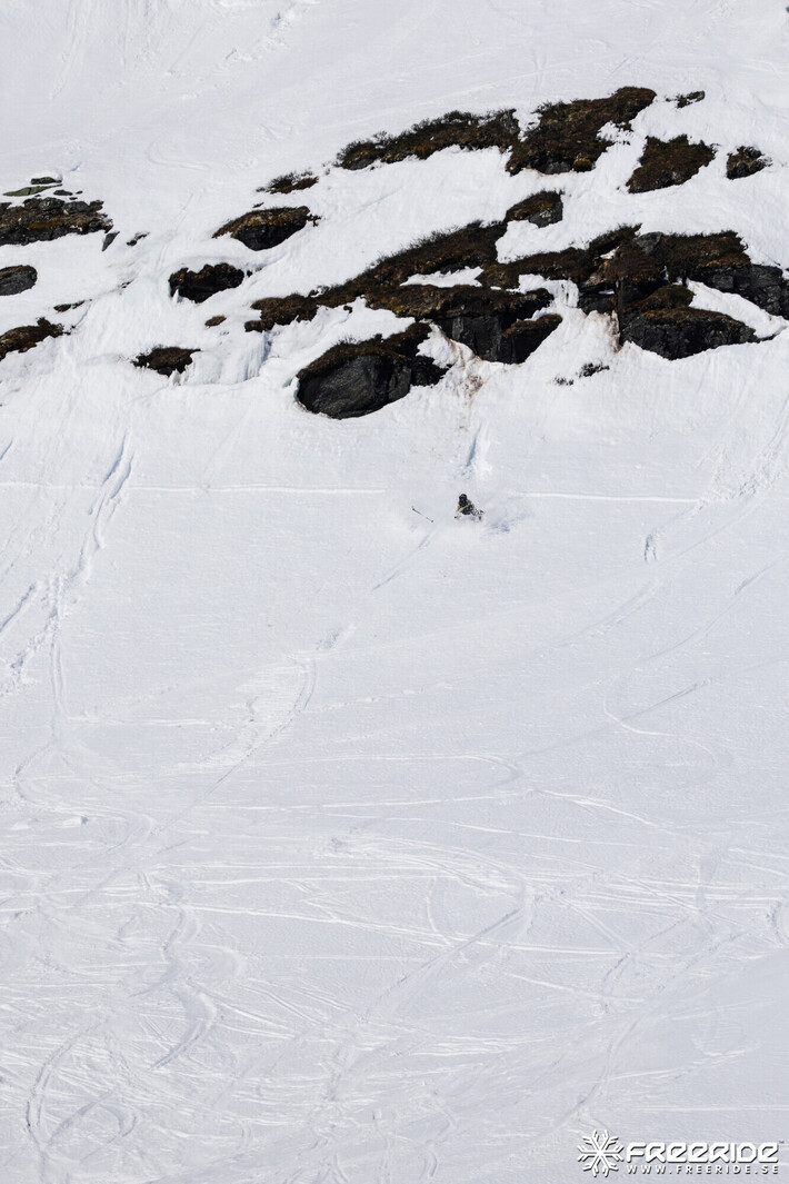 Bild från Ride the Cow 2026