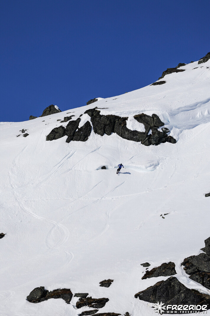 Bild från Ride the Cow 2026