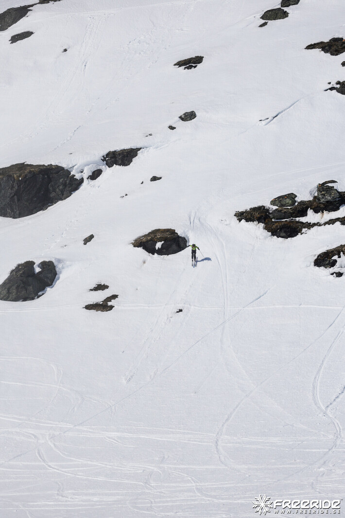 Bild från Ride the Cow 2026