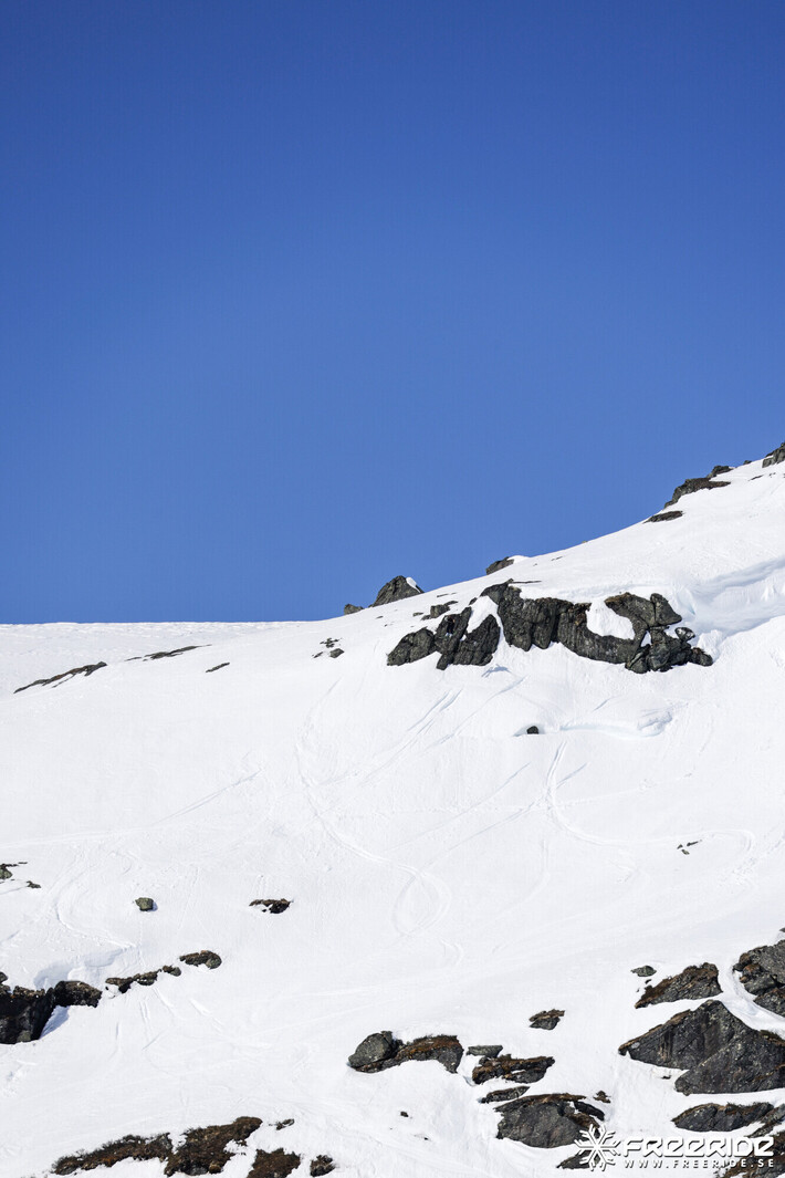 Bild från Ride the Cow 2026