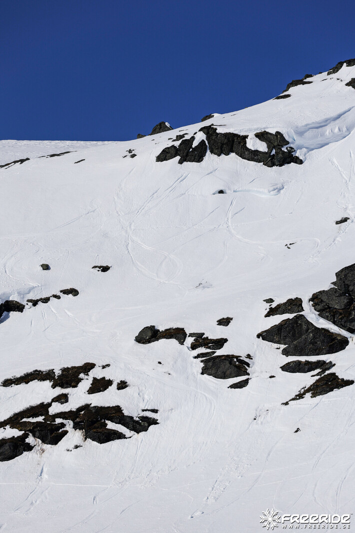 Bild från Ride the Cow 2026