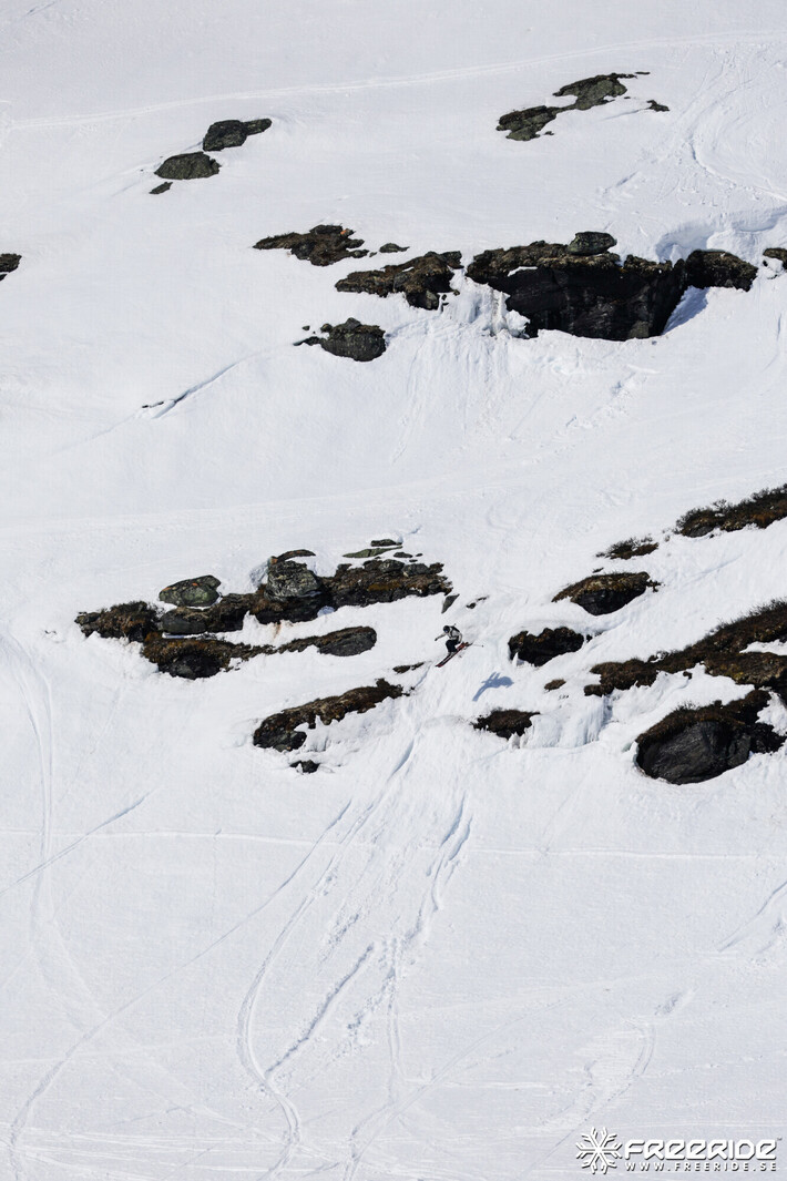 Bild från Ride the Cow 2026