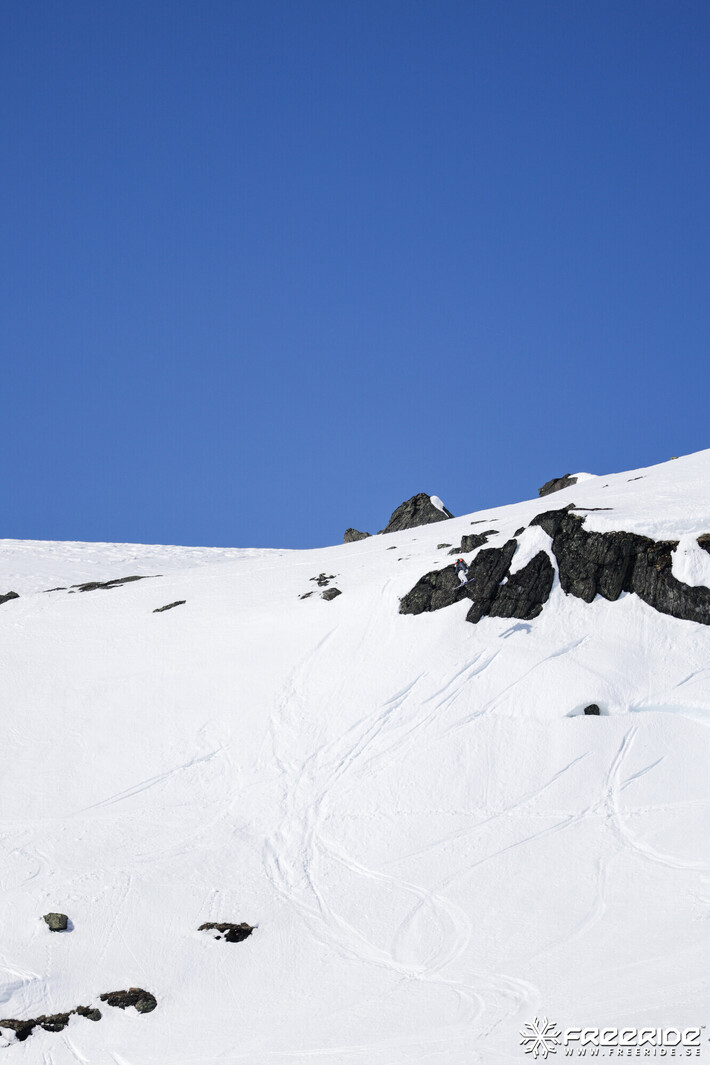 Bild från Ride the Cow 2026