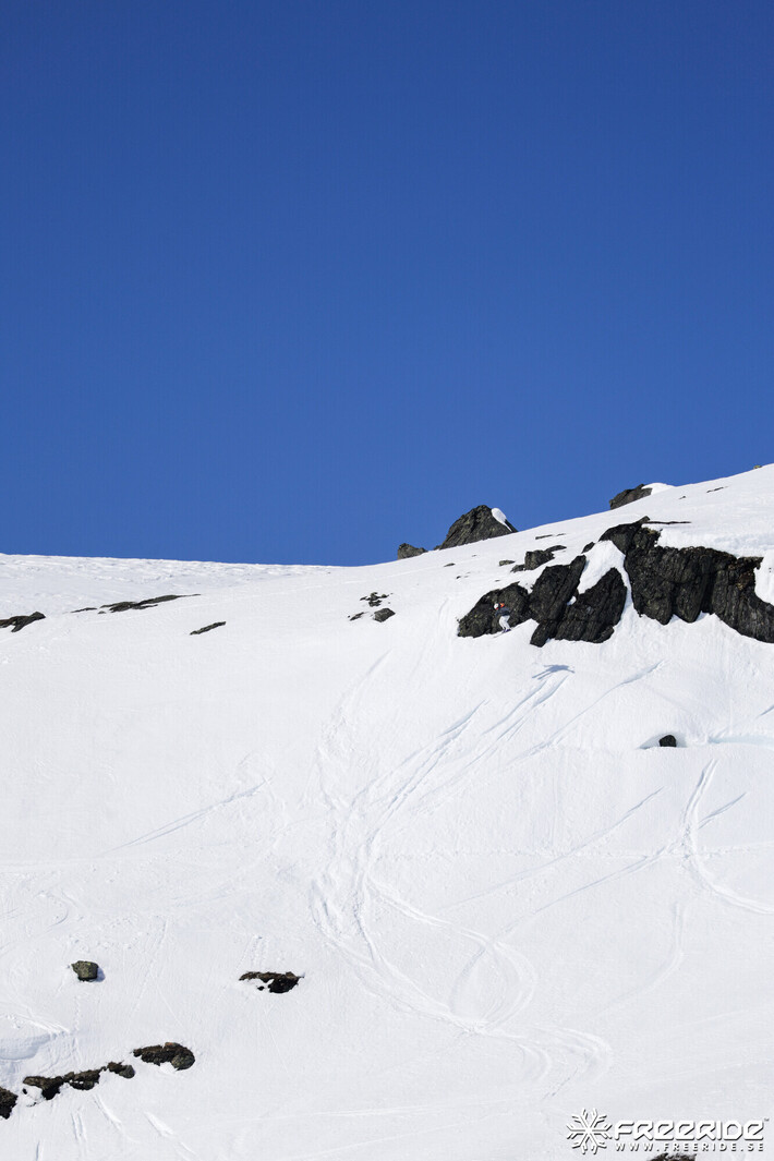 Bild från Ride the Cow 2026