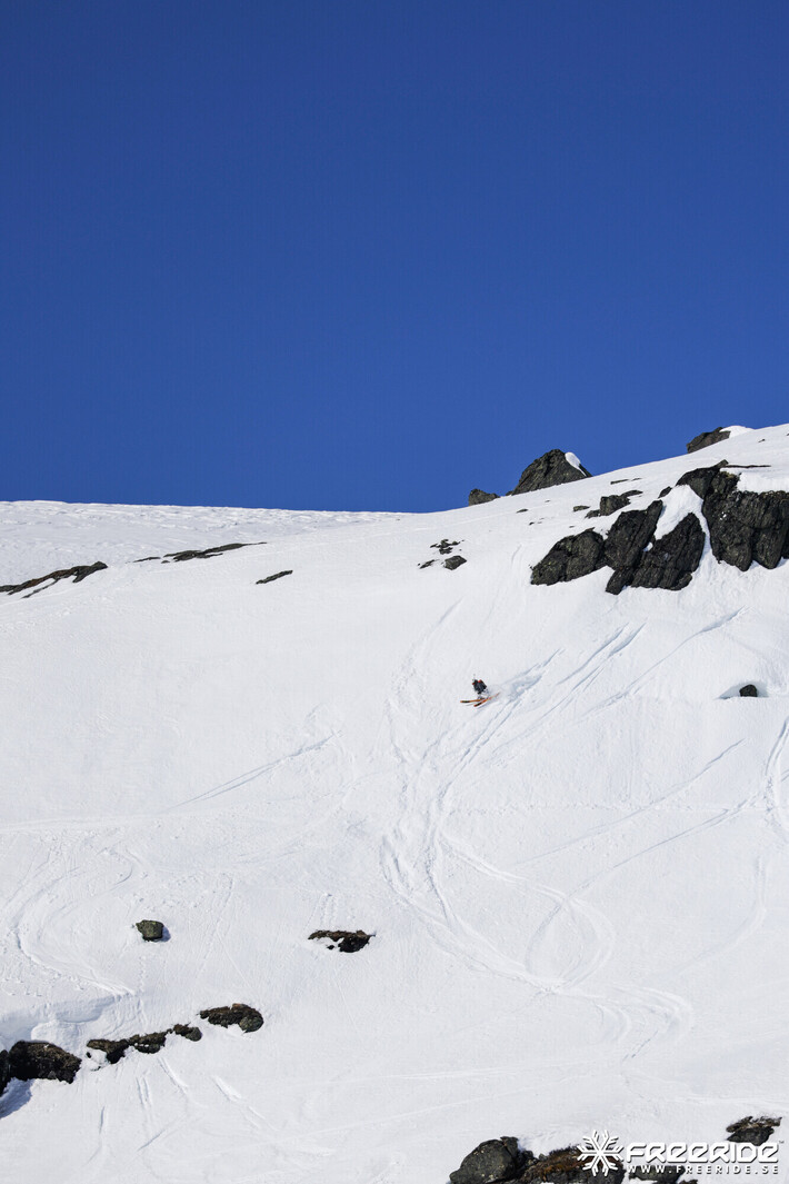 Bild från Ride the Cow 2026