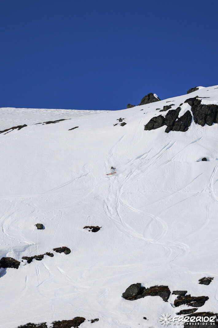 Bild från Ride the Cow 2026