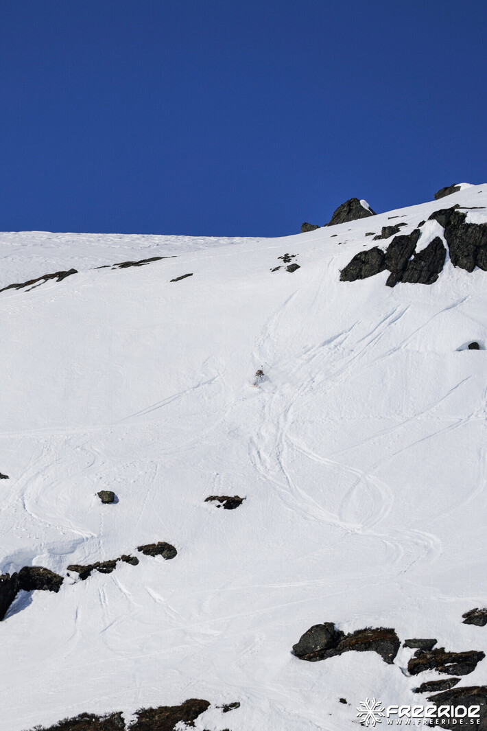 Bild från Ride the Cow 2026