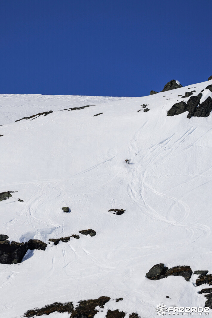 Bild från Ride the Cow 2026