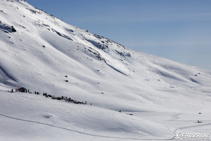 Bild från Ride the Cow 2026