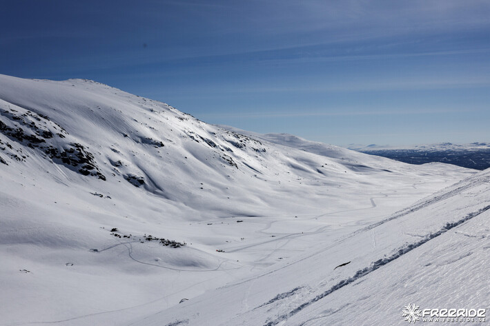 Bild från Ride the Cow 2026