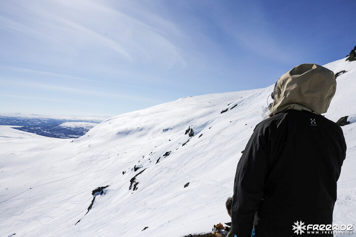 Bild från Ride the Cow 2026