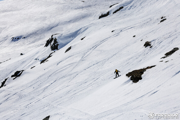 Bild från Ride the Cow 2026