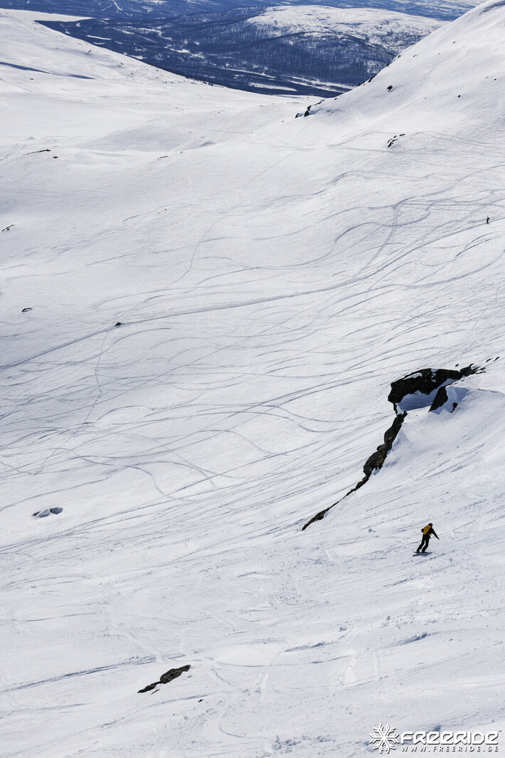 Bild från Ride the Cow 2026