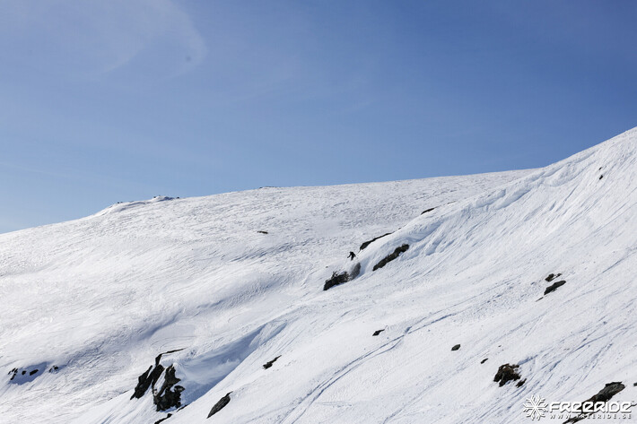 Bild från Ride the Cow 2026