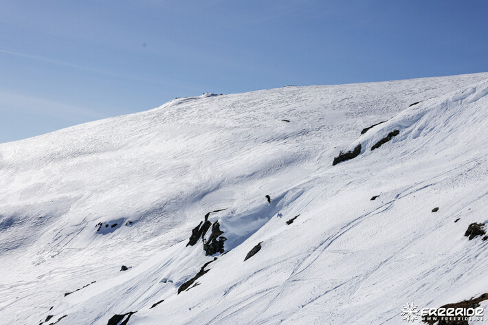 Bild från Ride the Cow 2026