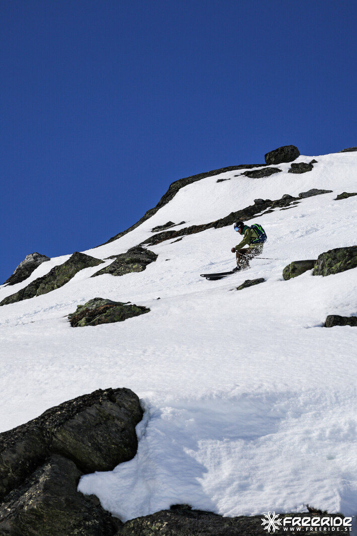 Bild från Ride the Cow 2026