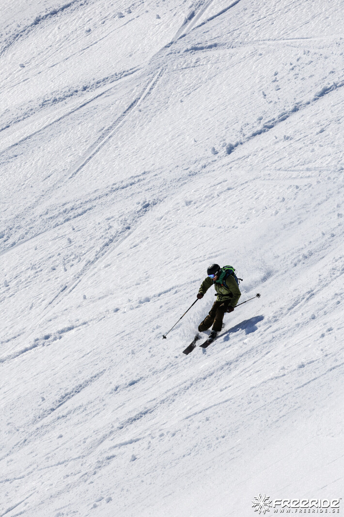 Bild från Ride the Cow 2026