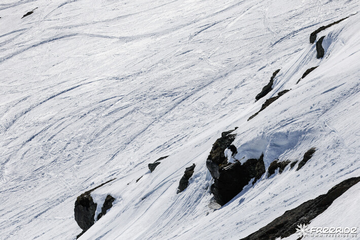 Bild från Ride the Cow 2026