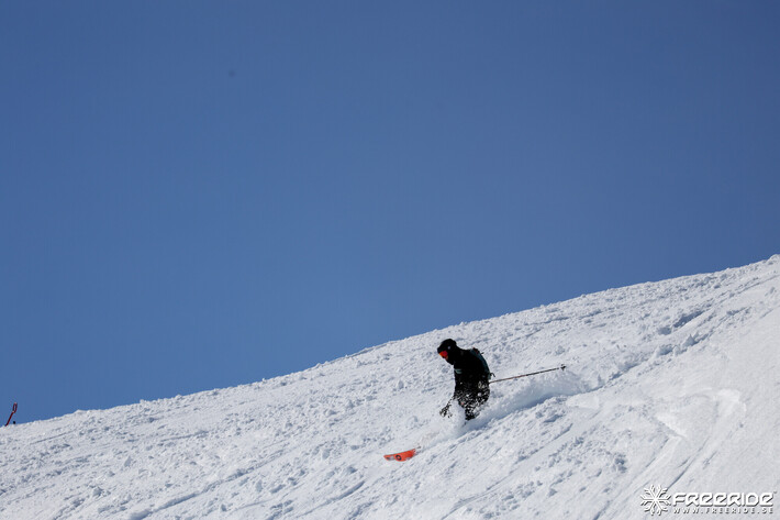 Bild från Ride the Cow 2026