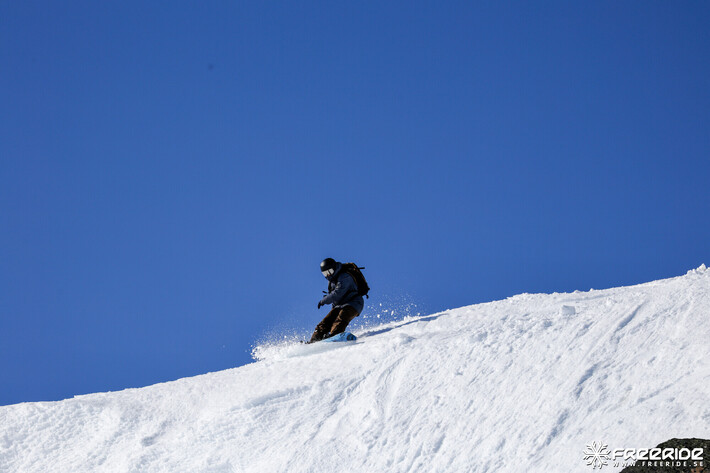 Bild från Ride the Cow 2026