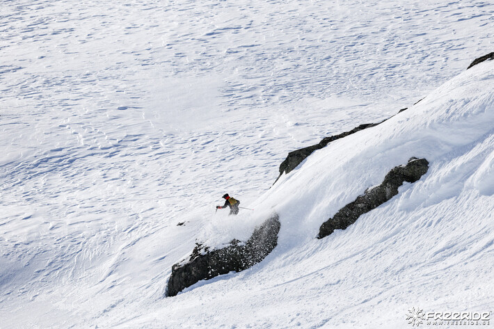 Bild från Ride the Cow 2026