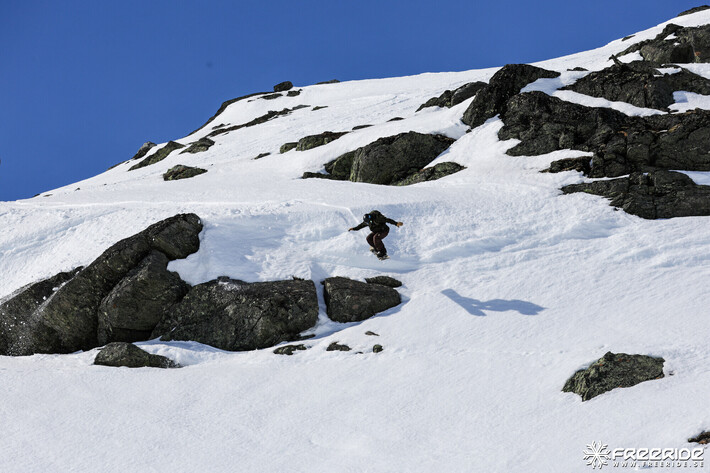 Bild från Ride the Cow 2026