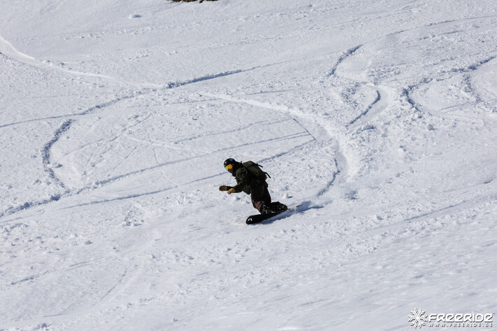 Bild från Ride the Cow 2026