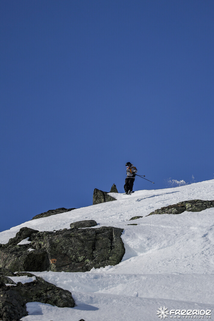 Bild från Ride the Cow 2026