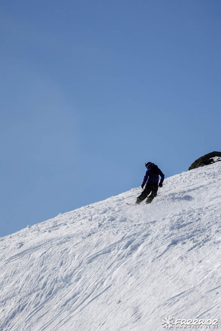 Bild från Ride the Cow 2026