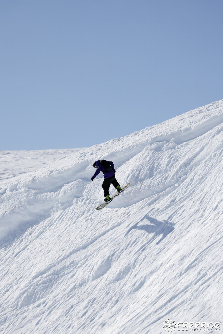 Bild från Ride the Cow 2026