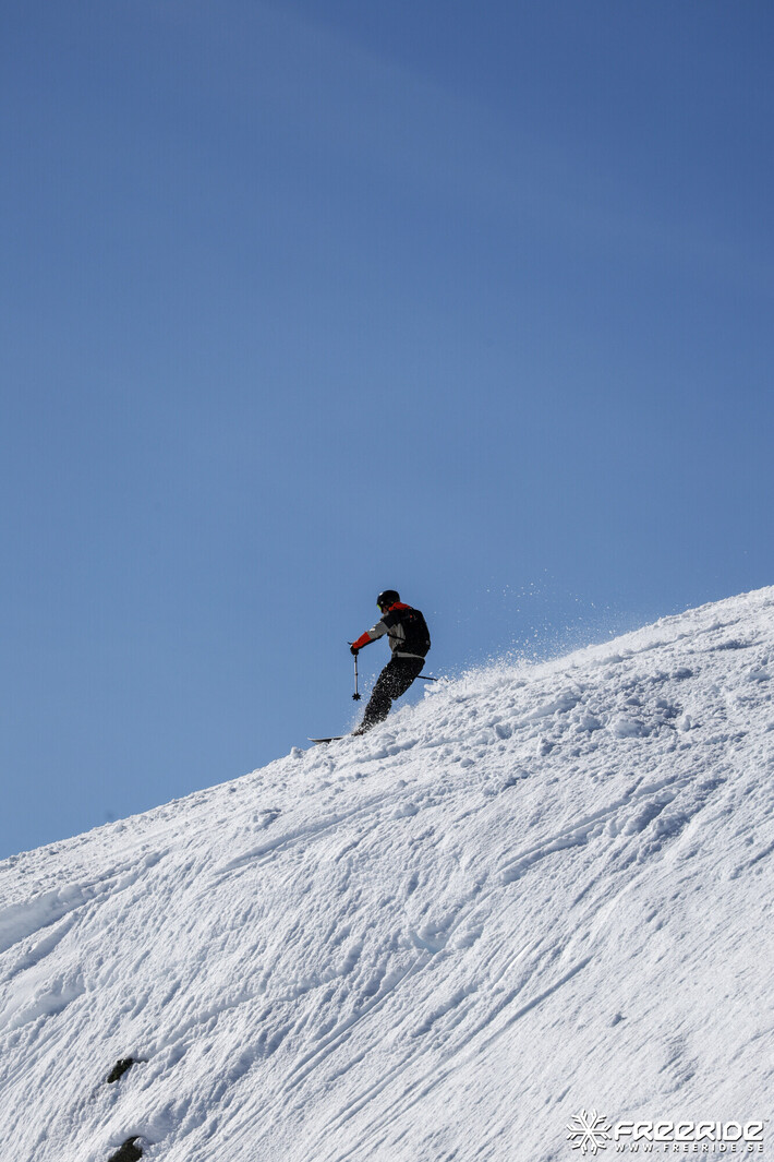 Bild från Ride the Cow 2026