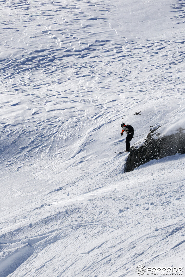 Bild från Ride the Cow 2026