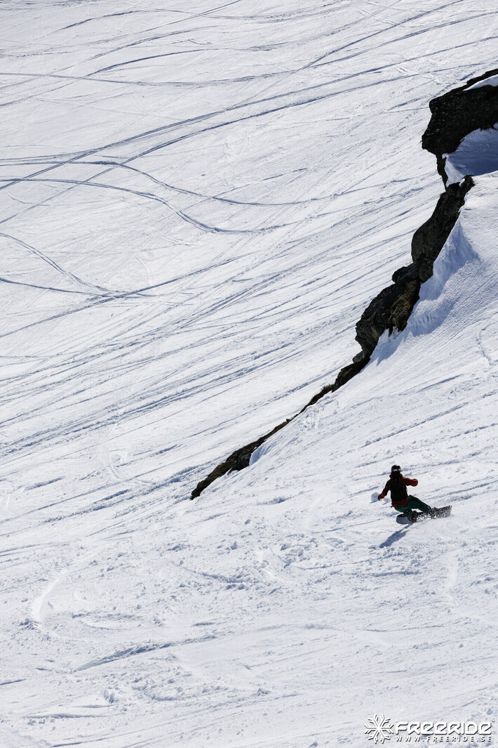 Bild från Ride the Cow 2026