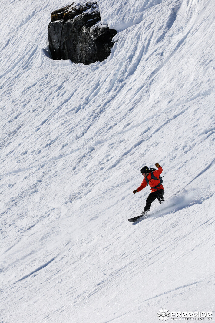 Bild från Ride the Cow 2026