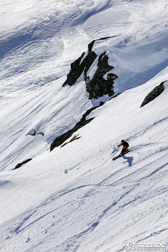 Bild från Ride the Cow 2026