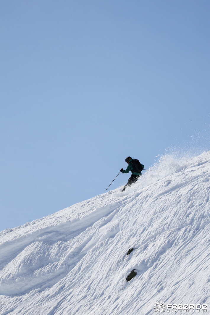 Bild från Ride the Cow 2026