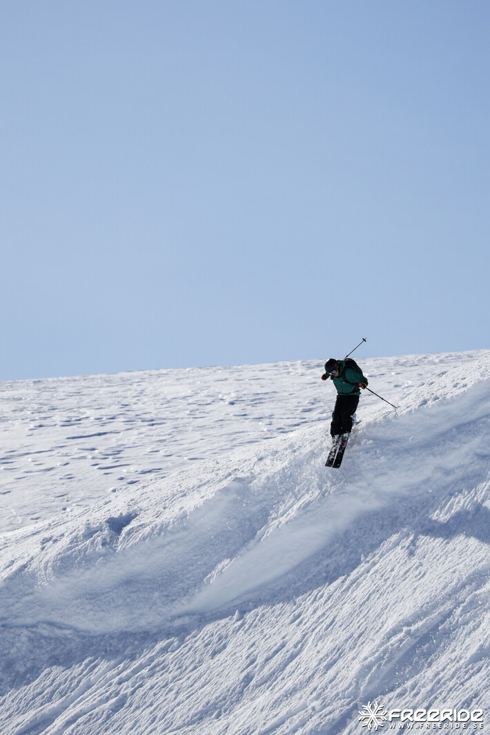 Bild från Ride the Cow 2026