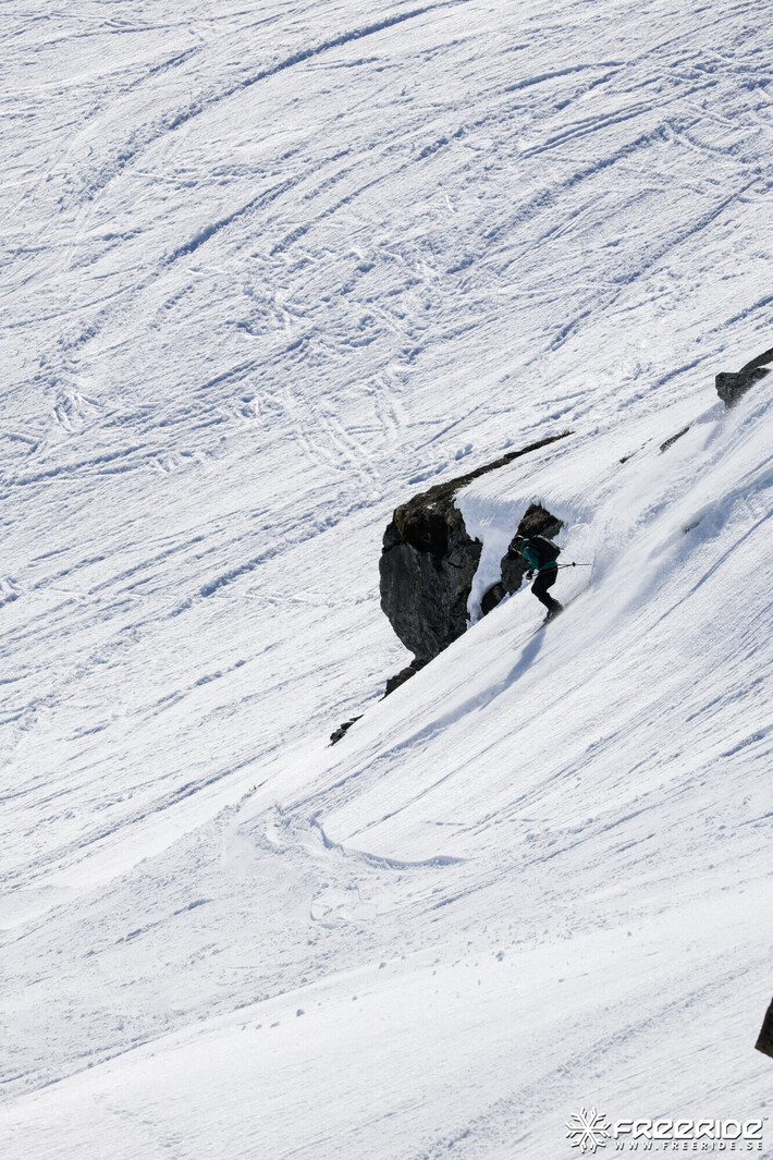 Bild från Ride the Cow 2026