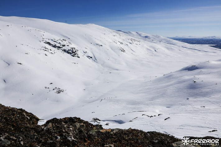 Bild från Ride the Cow 2026